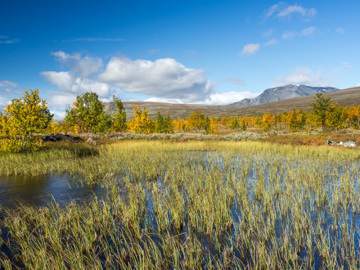 06_13_2016_Bobby_Magill_CC_Permafrost_2_FB_720_540_s_c1_c_c