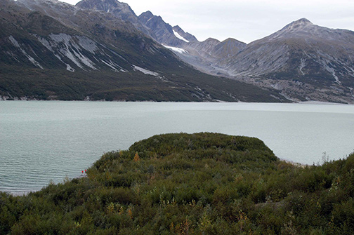 2003