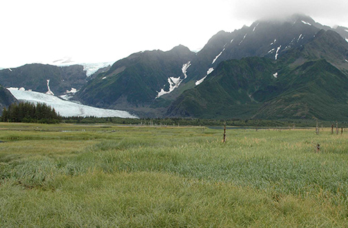 2005