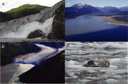 Intro-2-Glaciers