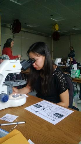 MicroscopicHABIdentificationTraining
