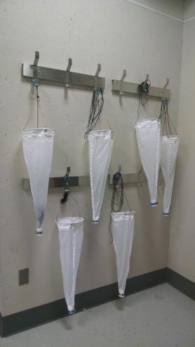 PhytoplanktonNets