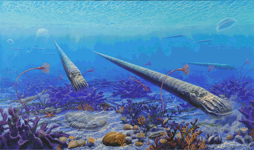 Ordovician2