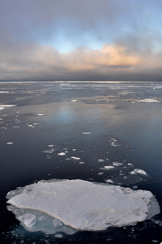 Sea Ice