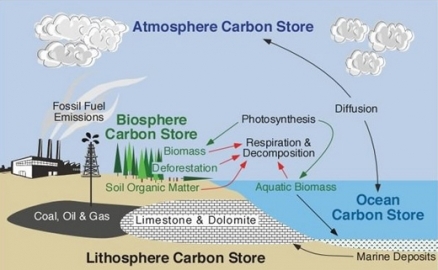 620px-carboncycle2_438x0_scale