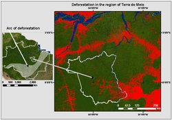 250px-Arco_de_Desmatamento_Terra_do_Meio.JPG