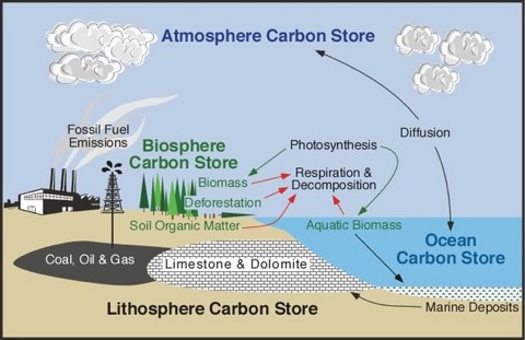 620px-Carboncycle