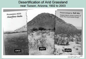 desertification-e1430046638810-300x208