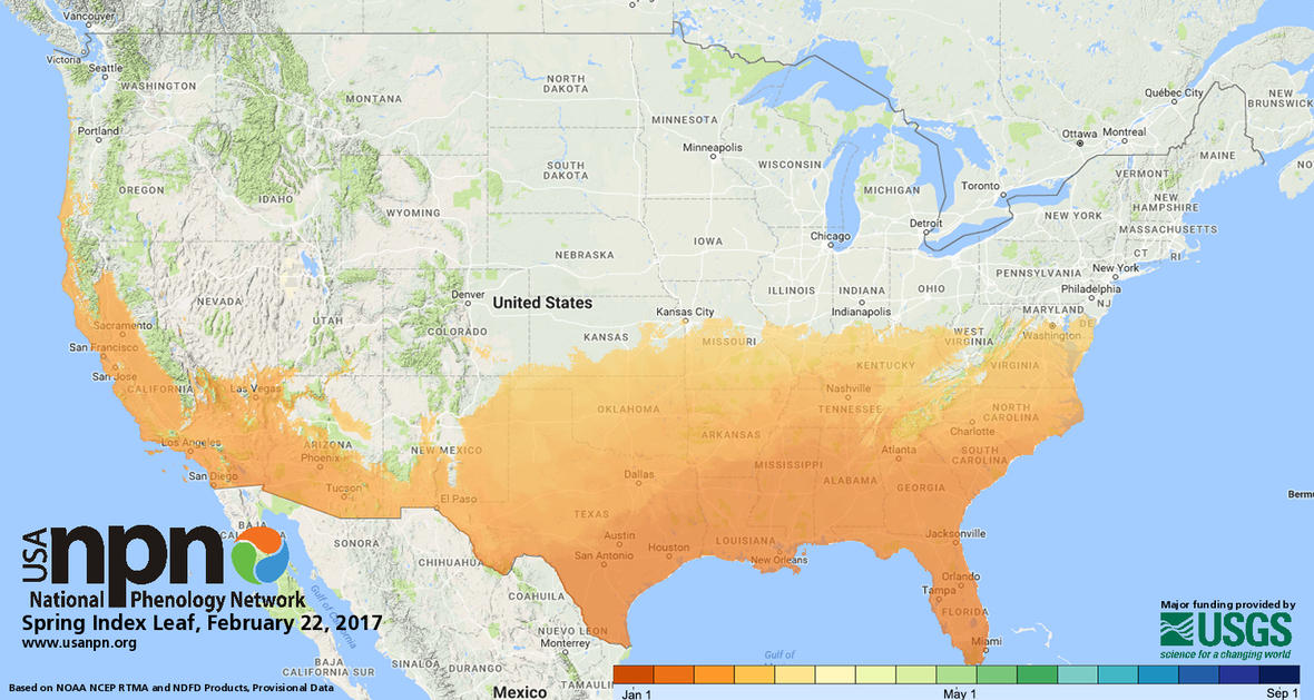 six-leaf-index_Feb_22_2017_0