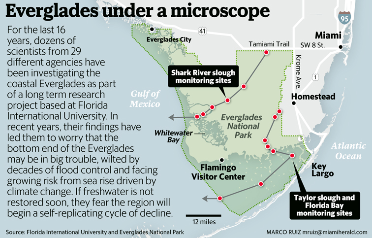 02-14-Everglades